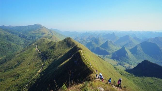 阳山3月旅游去哪里好玩？的头图