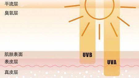 “网红”防晒丸真能防晒吗？