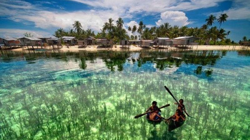 世界上最危险的海：海水透明度高达70米，让无数船只有来无回？的头图