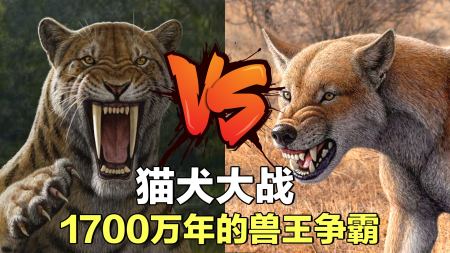 1700万年前的猫犬大战：猫科入侵北美，导致犬科一家族团灭