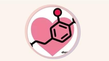 对于你的爱，始于颜值，源于多巴胺？抓住爱的要义的头图