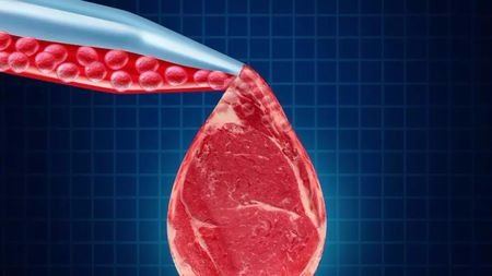 密苏里州通过法案称实验室培育的“肉”不属于肉类，你怎么看？的头图