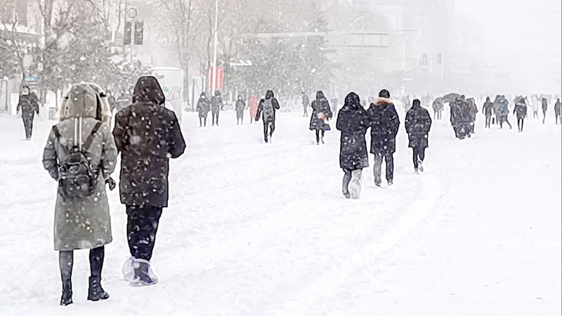 “大雪”来了，断崖式降温也来了，哪个省不怕下雪、降温，最抗冻