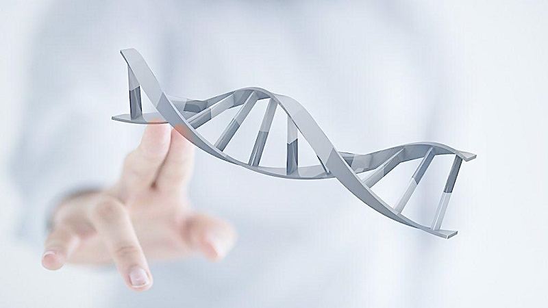 CRISPR/Cas9：精确编辑基因组的魔术剪刀？